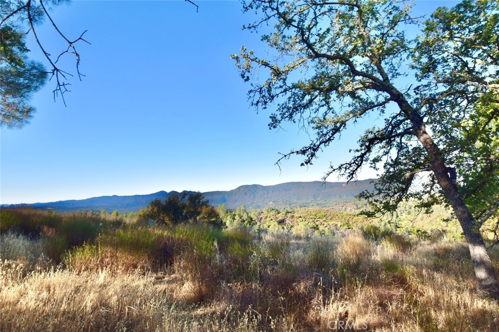 74010 Copperhead Road