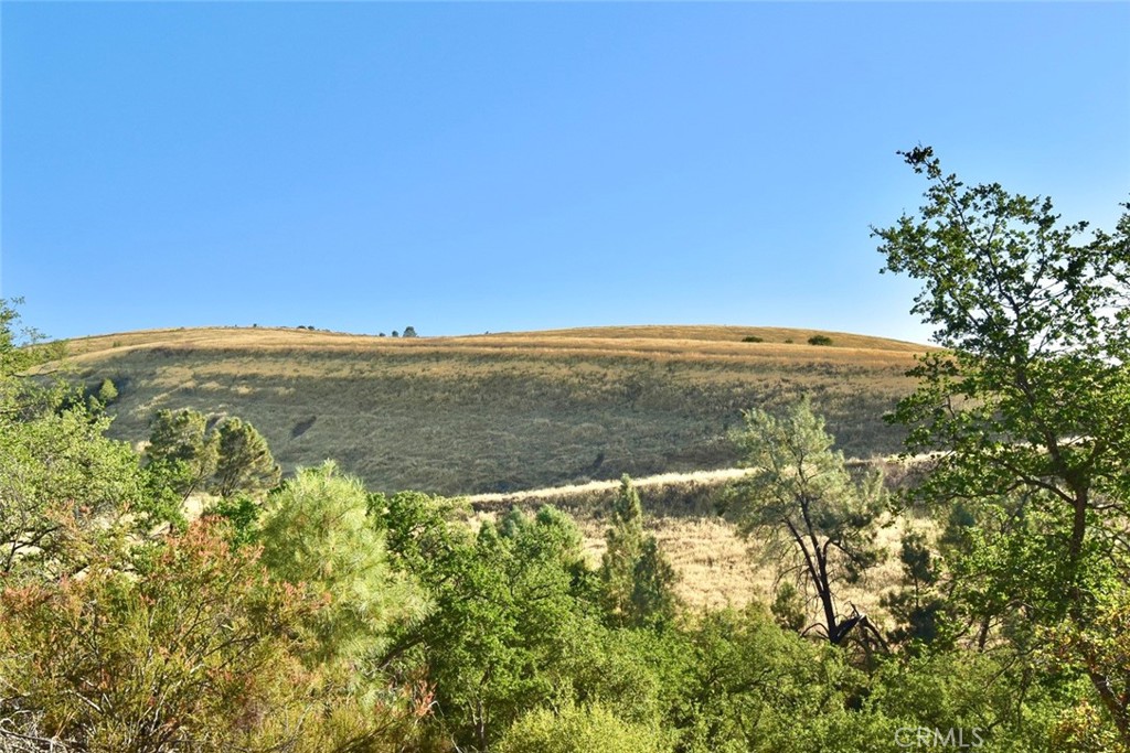 74010 Copperhead Road