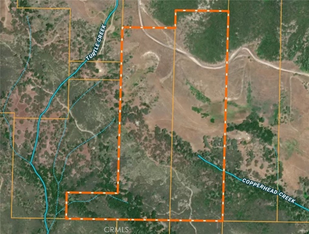 74010 Copperhead Road