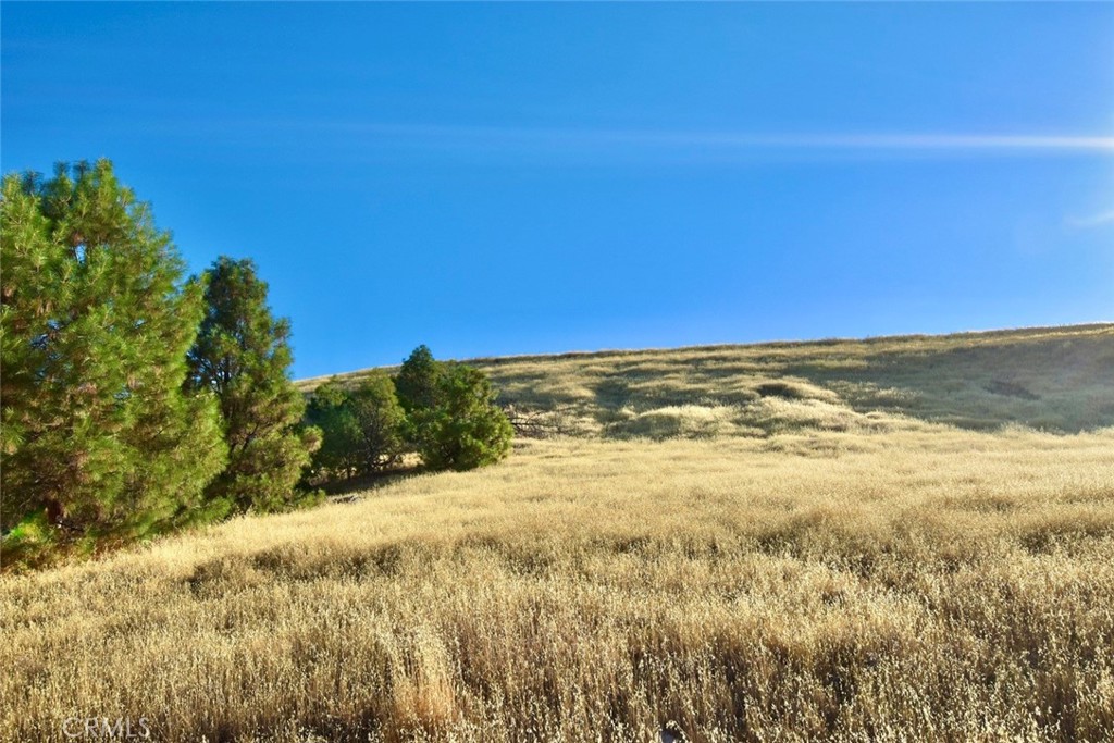 74010 Copperhead Road