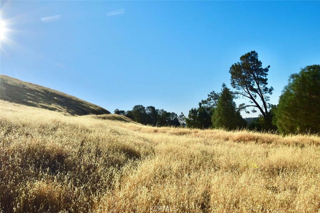 74010 Copperhead Road