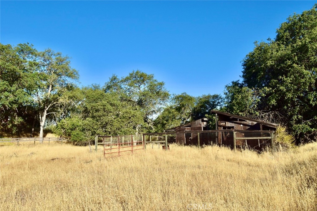 74010 Copperhead Road