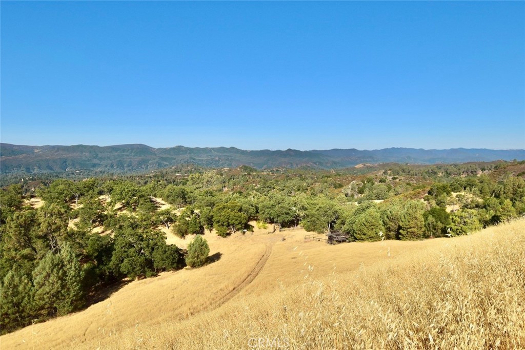 74010 Copperhead Road