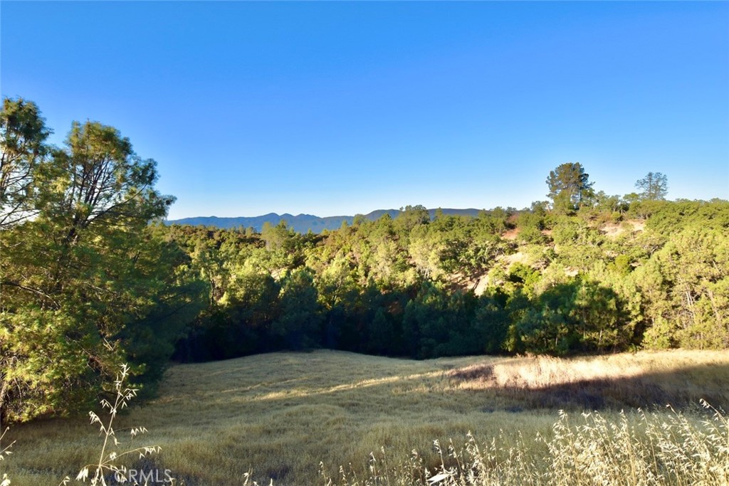 74010 Copperhead Road