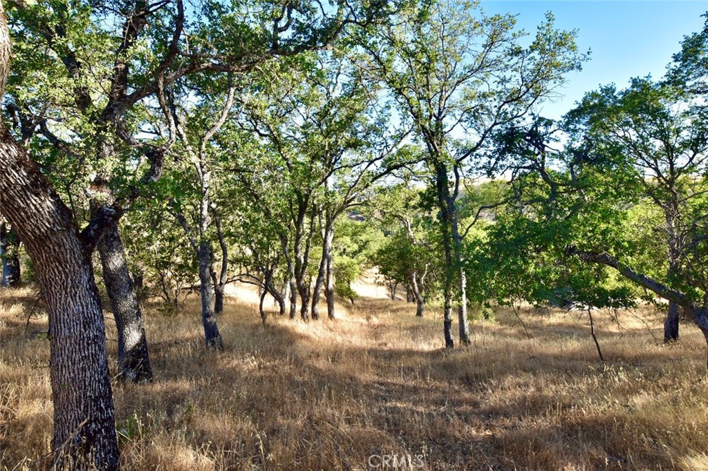 74010 Copperhead Road