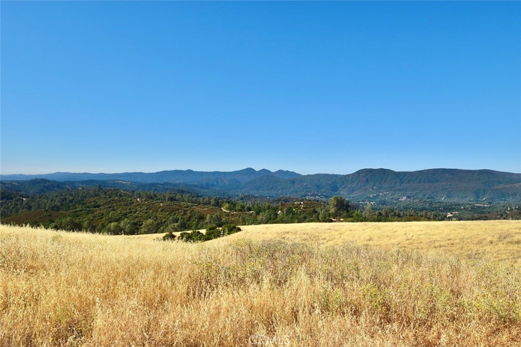 74010 Copperhead Road