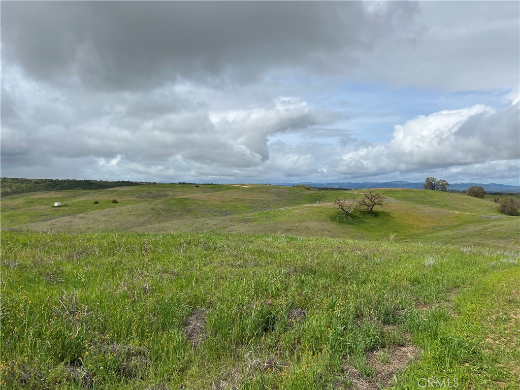 5160 Needs Road Name