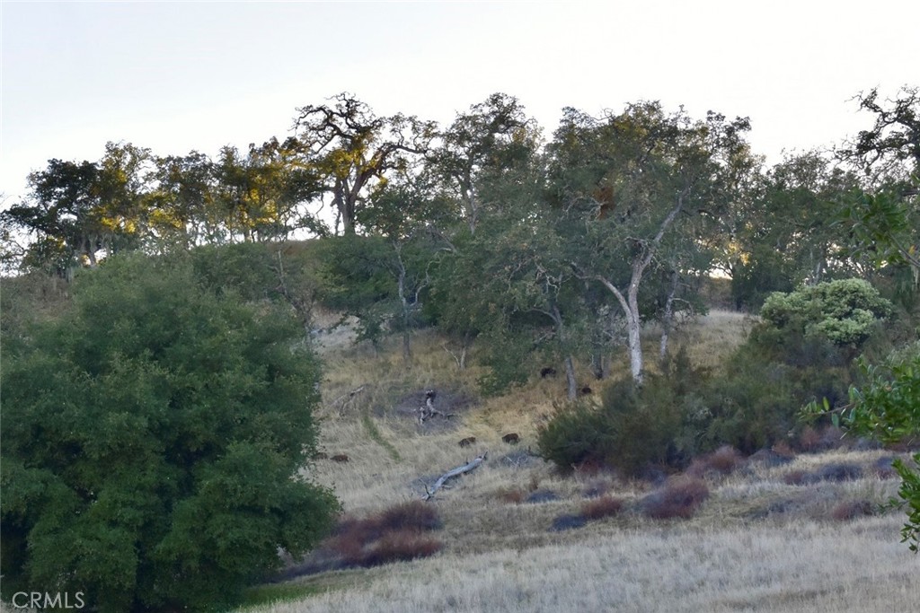 75200 Interlake Road