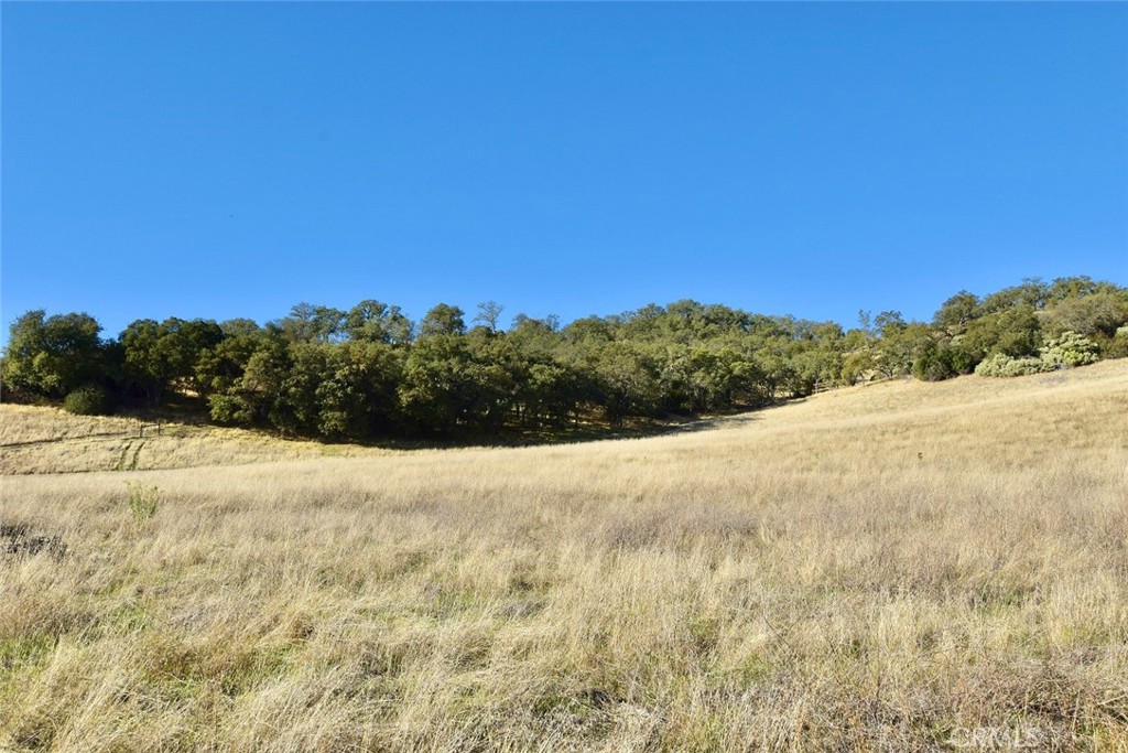 75200 Interlake Road