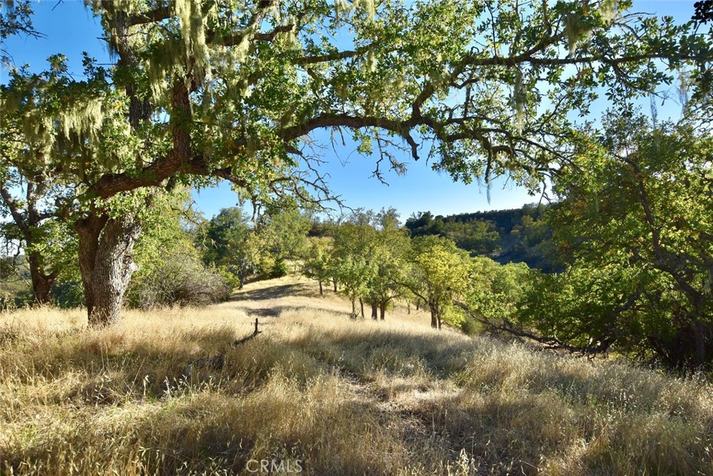 75200 Interlake Road