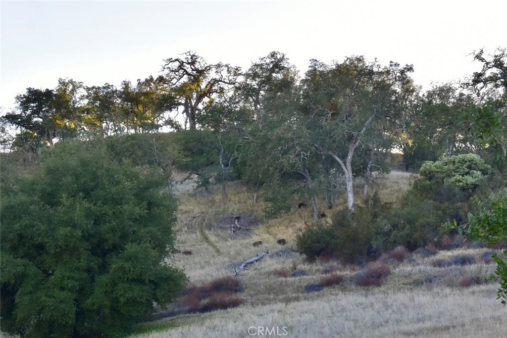 75200 Interlake Road