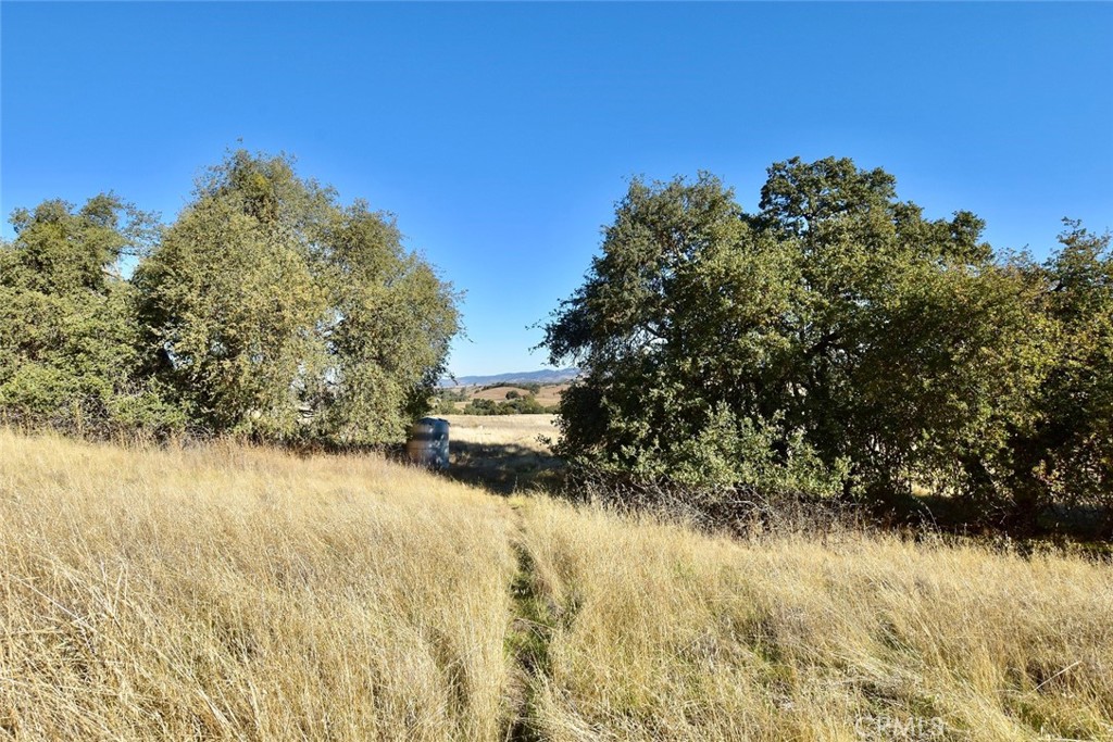 75200 Interlake Road