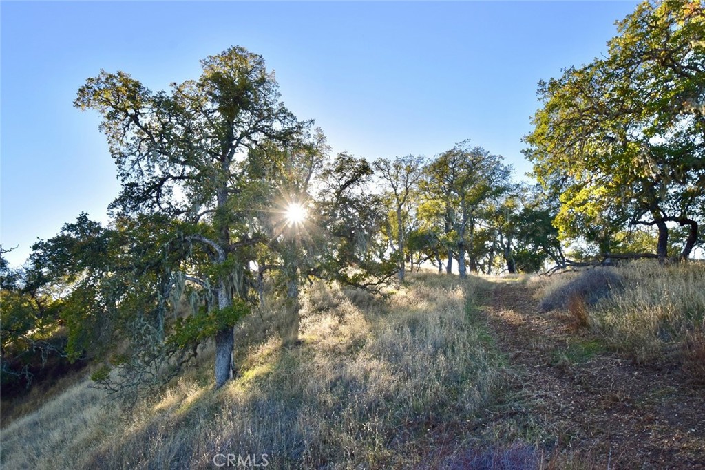 75200 Interlake Road