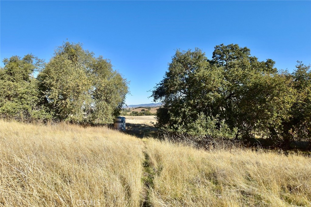 75200 Interlake Road