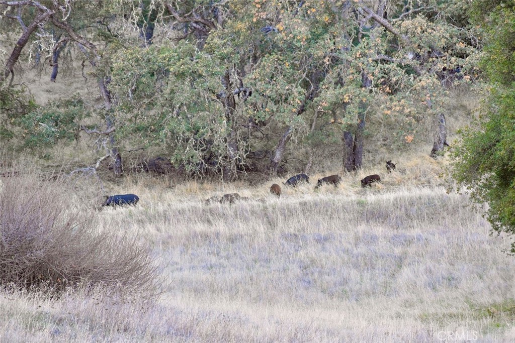 75200 Interlake Road