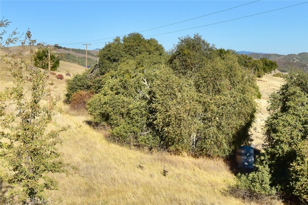 75200 Interlake Road