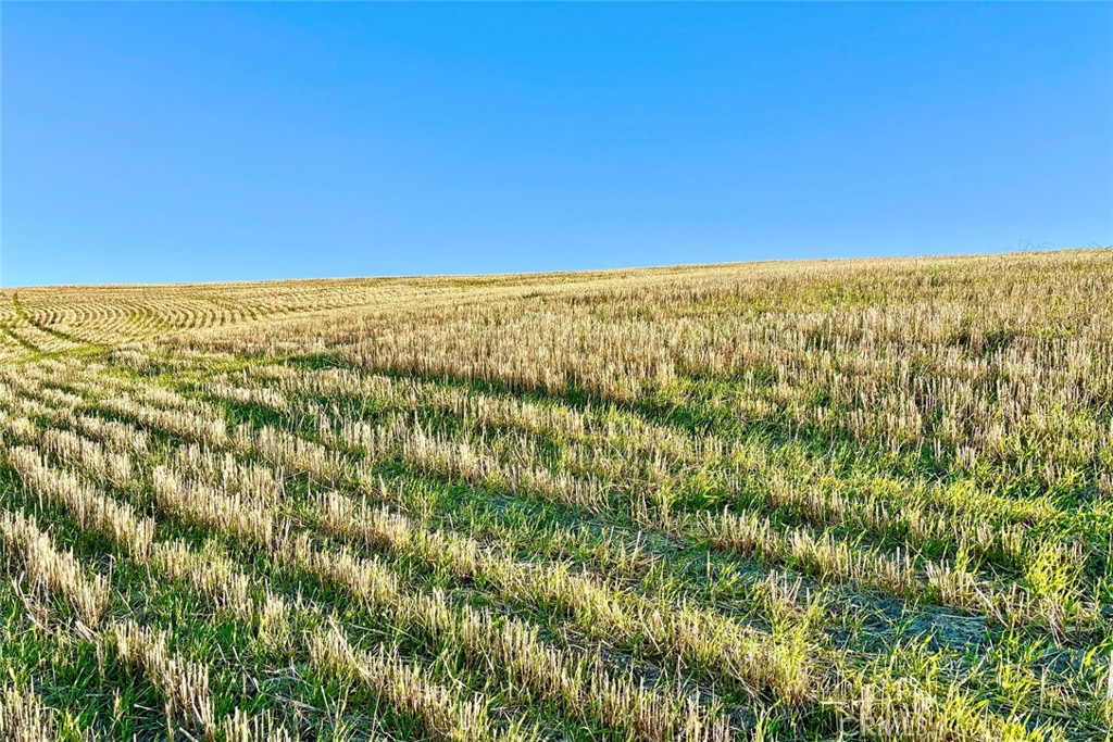 3780 S Gillis Canyon