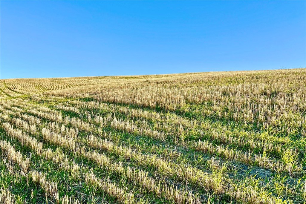 3780 S Gillis Canyon