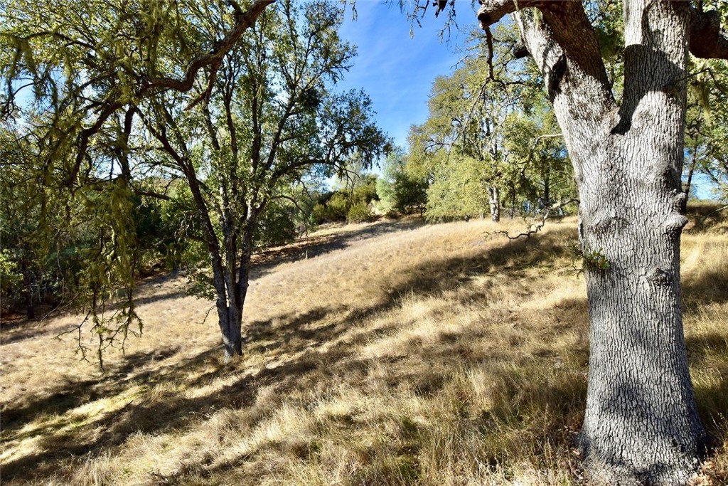 47811 Sapaque Valley