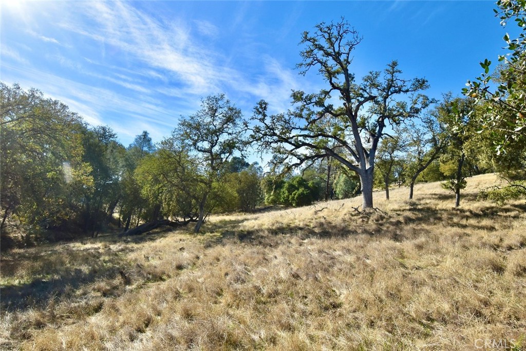 47811 Sapaque Valley