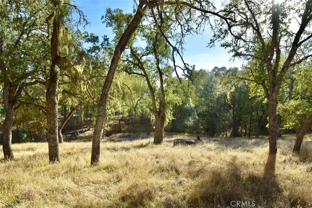 47811 Sapaque Valley