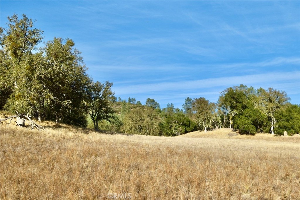 47811 Sapaque Valley