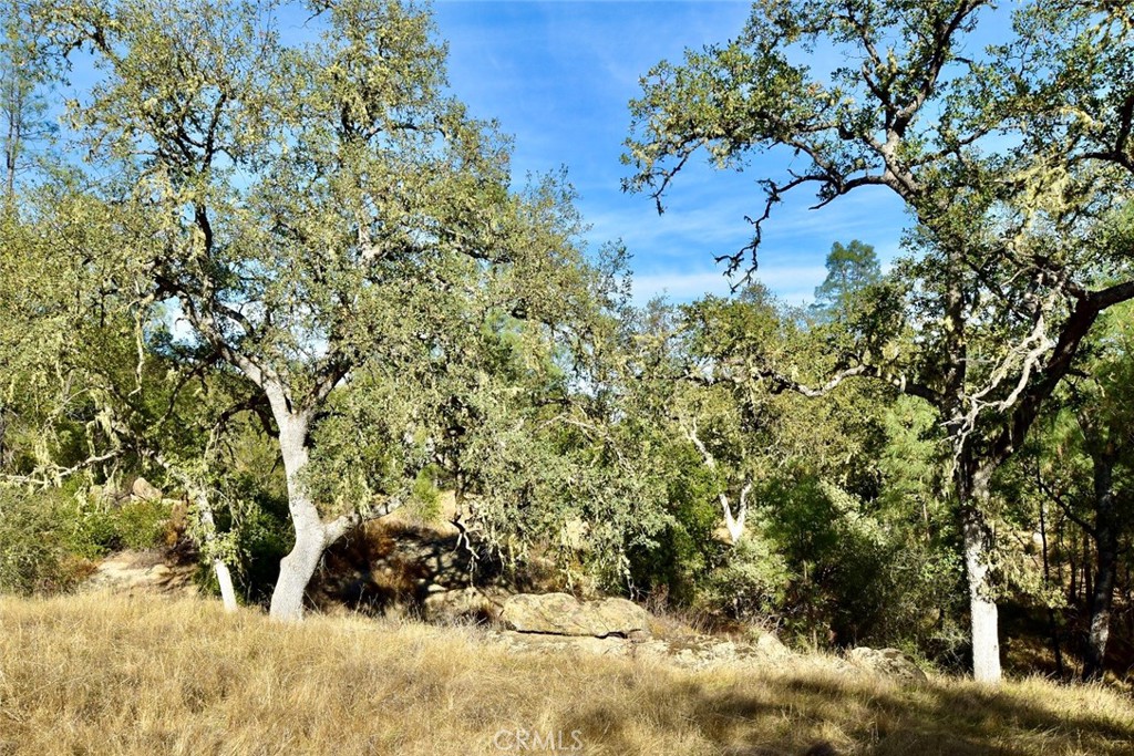 47811 Sapaque Valley