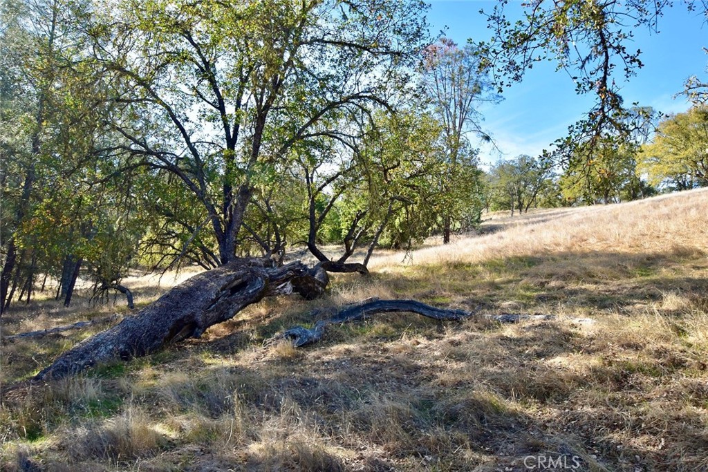 47811 Sapaque Valley