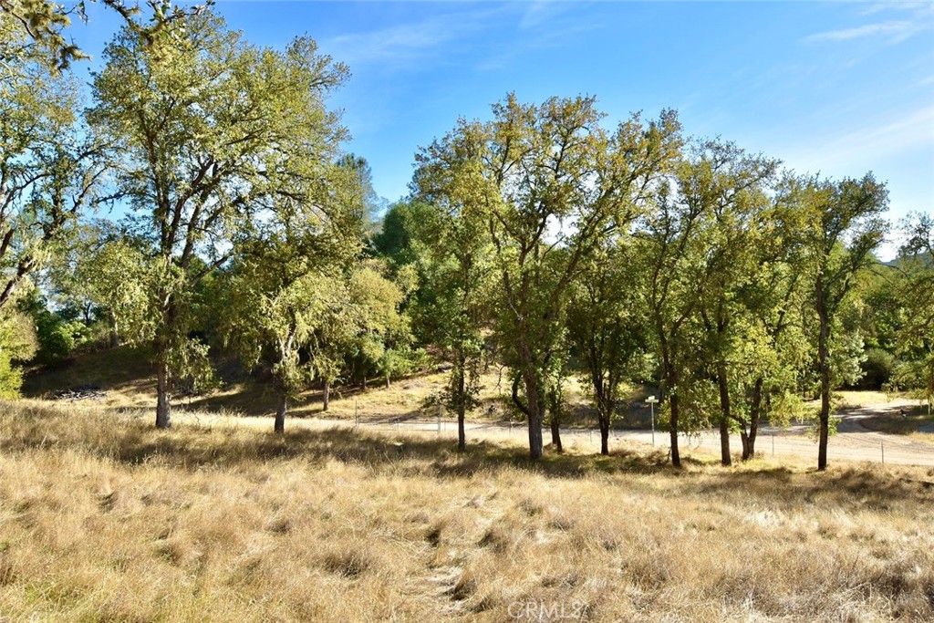 47811 Sapaque Valley