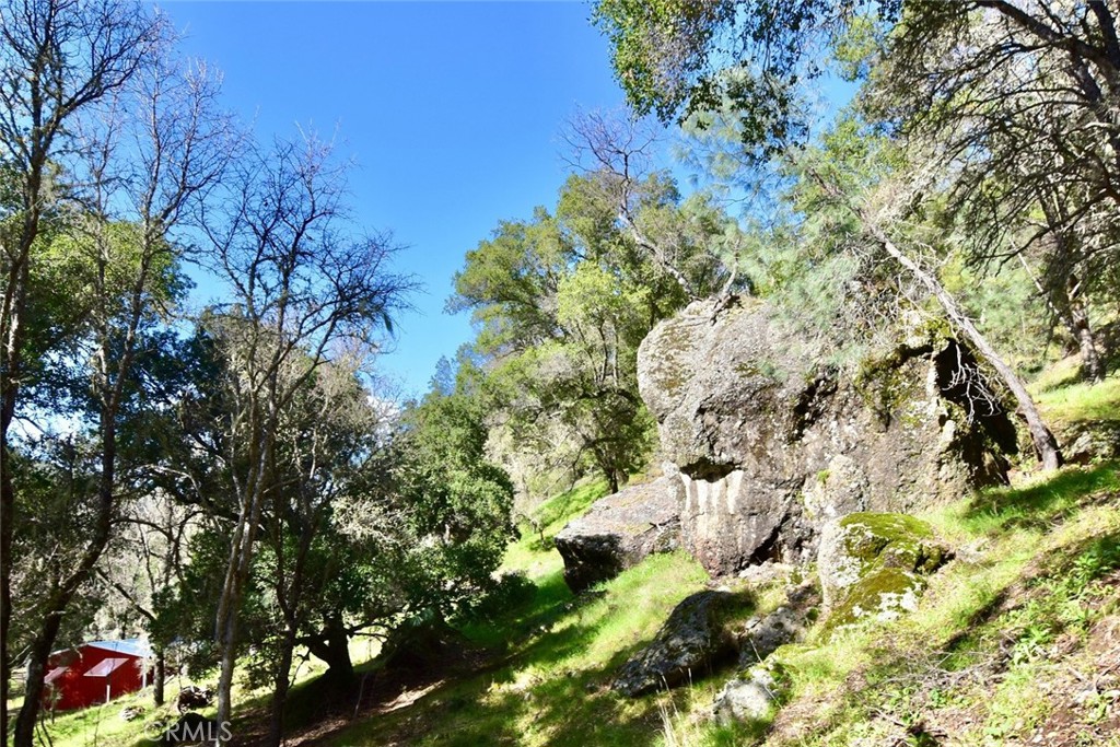 76450 Deer Pass Road