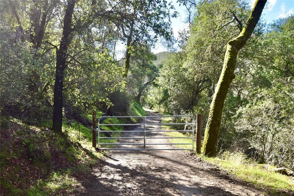 76450 Deer Pass Road