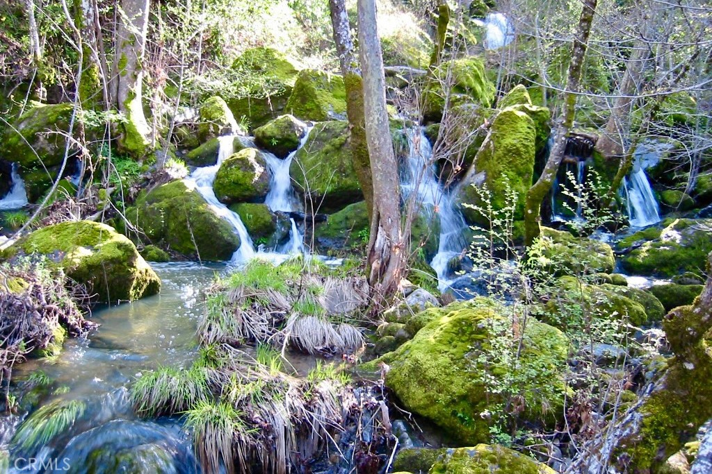 76450 Deer Pass Road