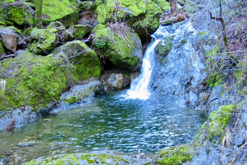 76450 Deer Pass Road