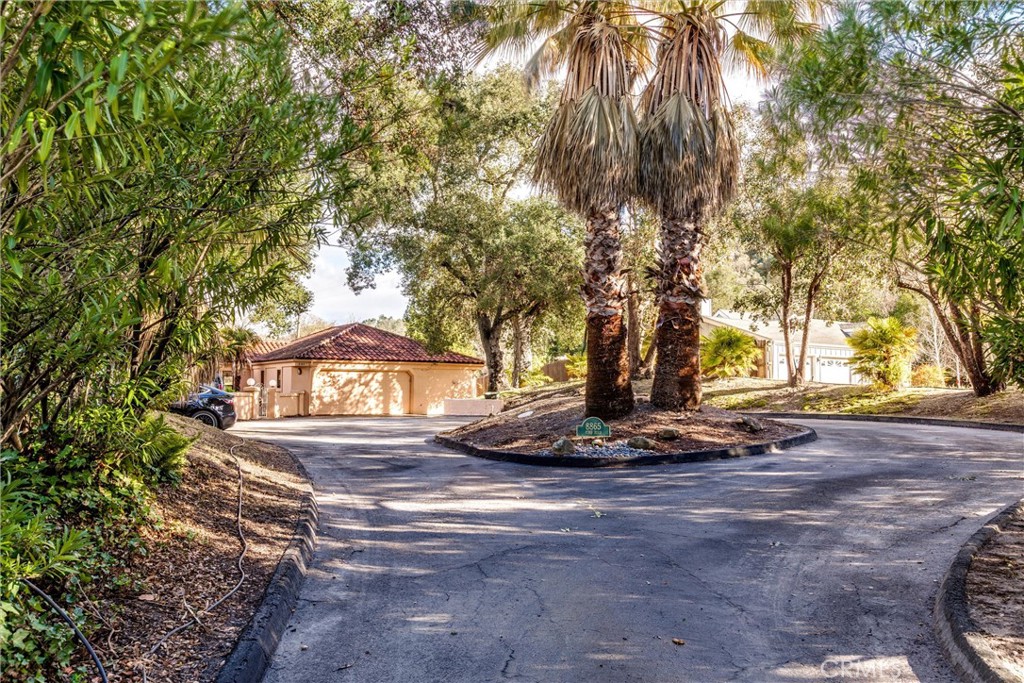 8865 Pino Solo Avenue