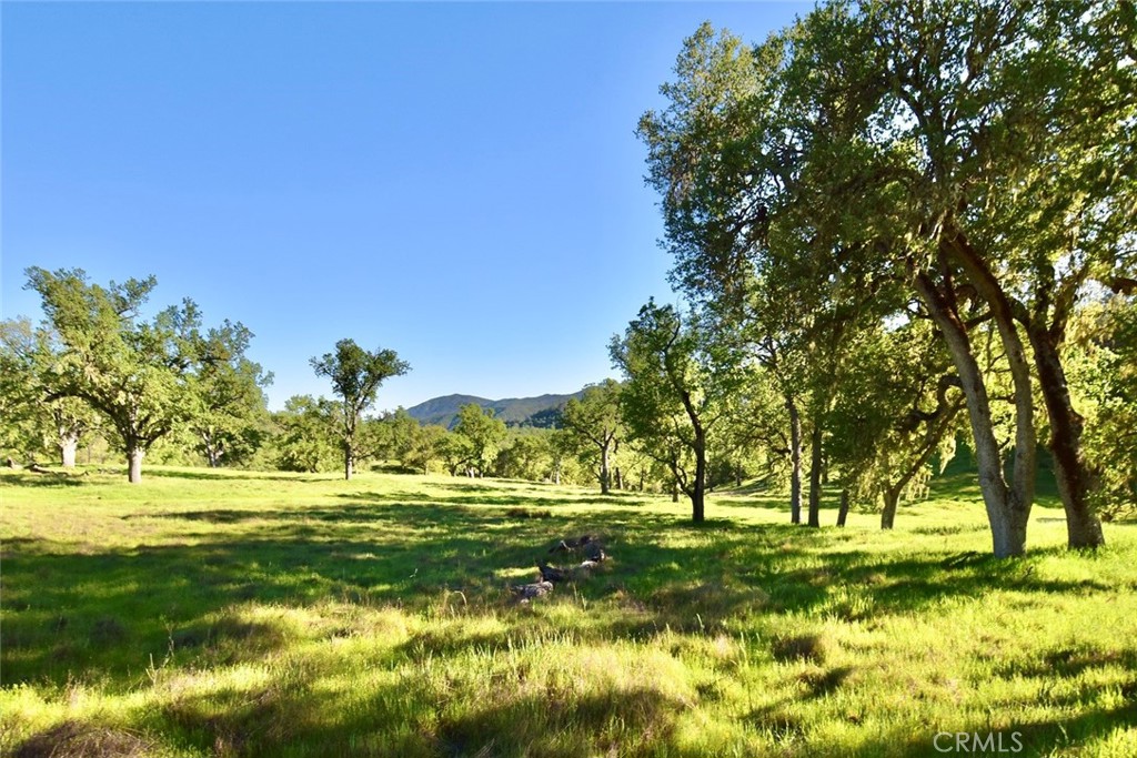 46651 Sapaque Valley