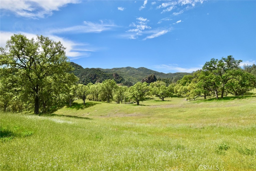 46651 Sapaque Valley
