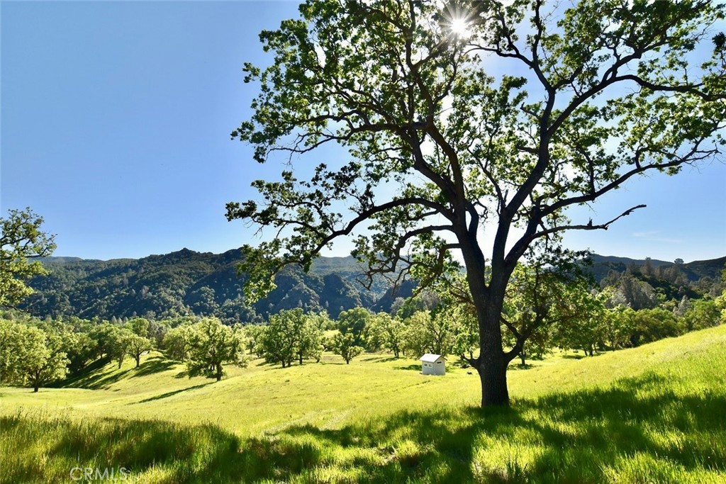 46651 Sapaque Valley