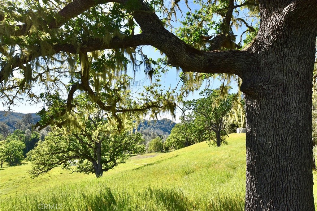 46651 Sapaque Valley