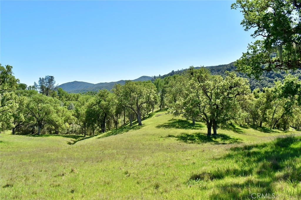 46651 Sapaque Valley