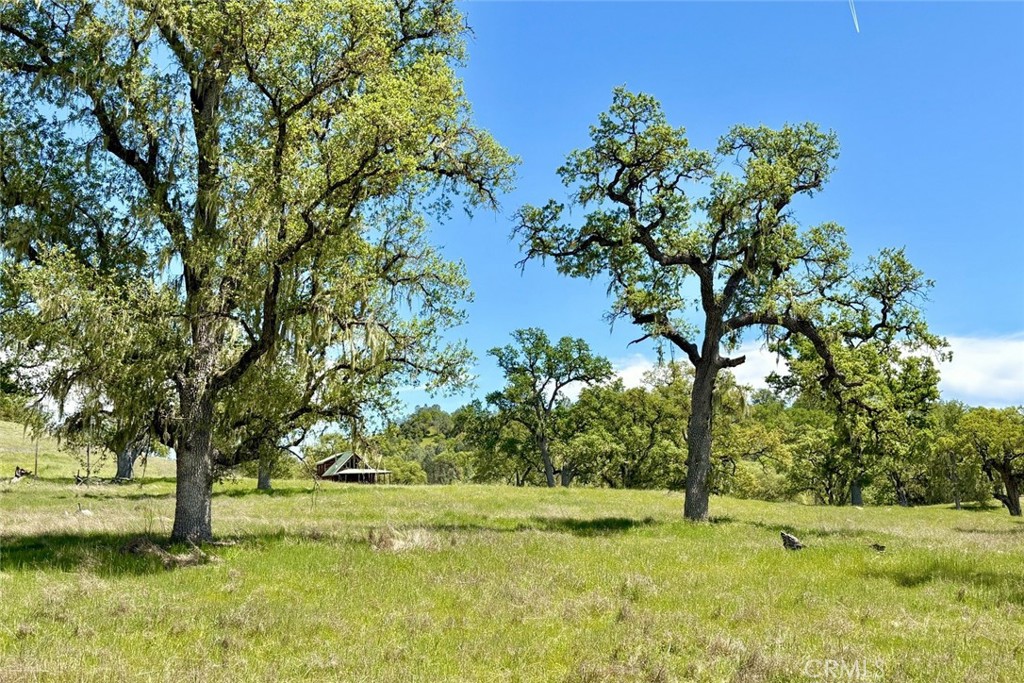46651 Sapaque Valley
