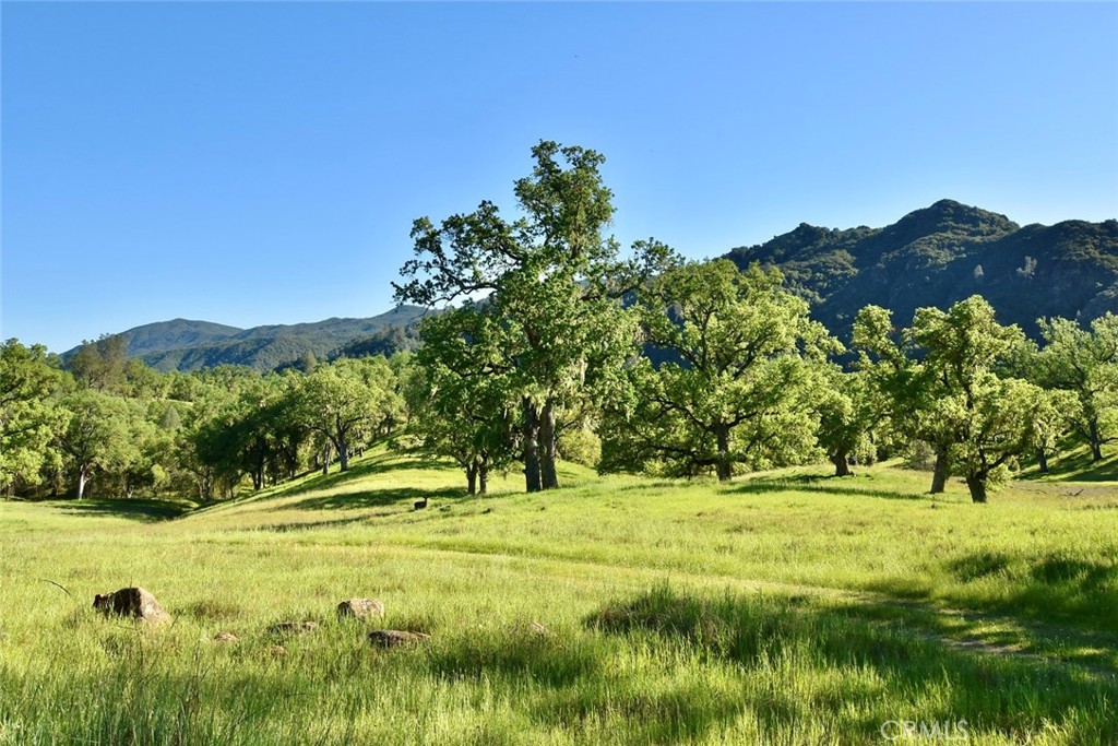 46651 Sapaque Valley