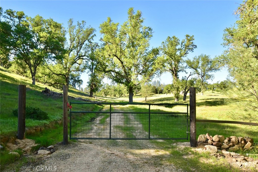 46651 Sapaque Valley