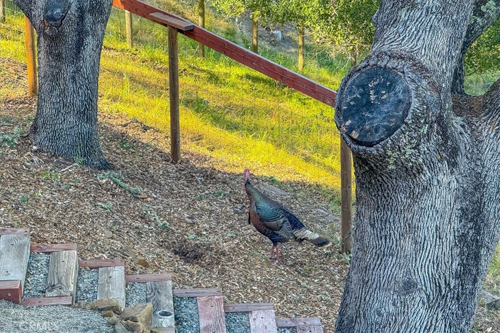 10662 Santa Ana Road