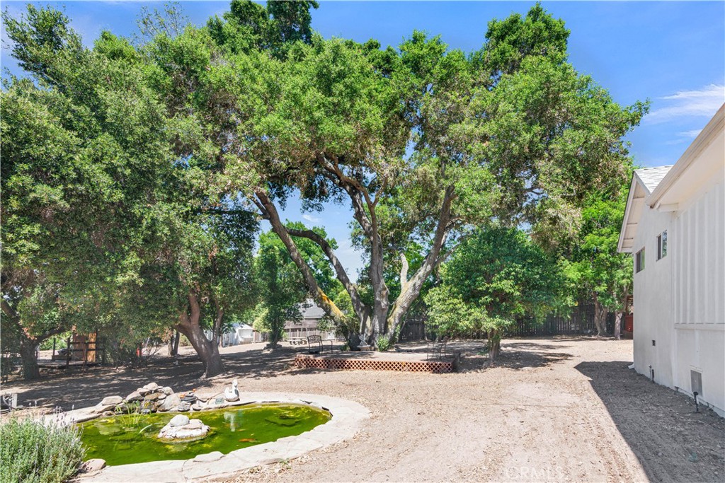 3620 Colima Road