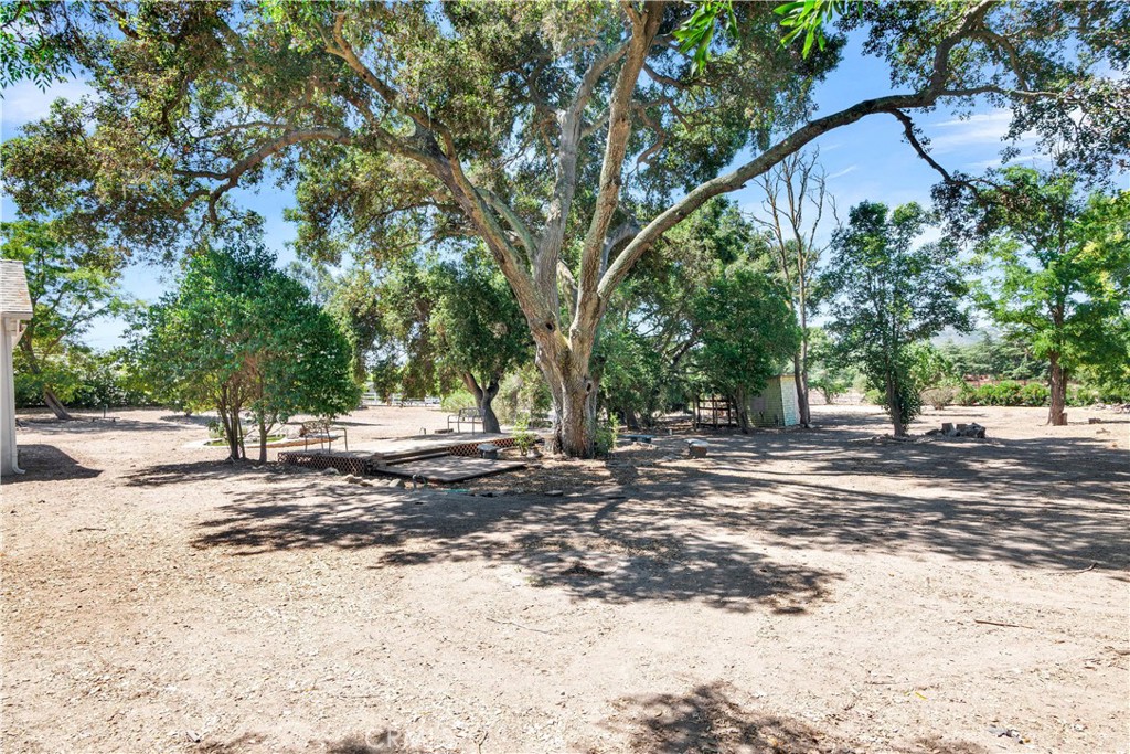 3620 Colima Road