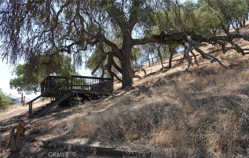 7950 Blue Moon Road