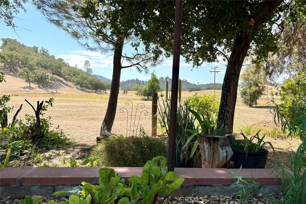 49460 Sapaque Road