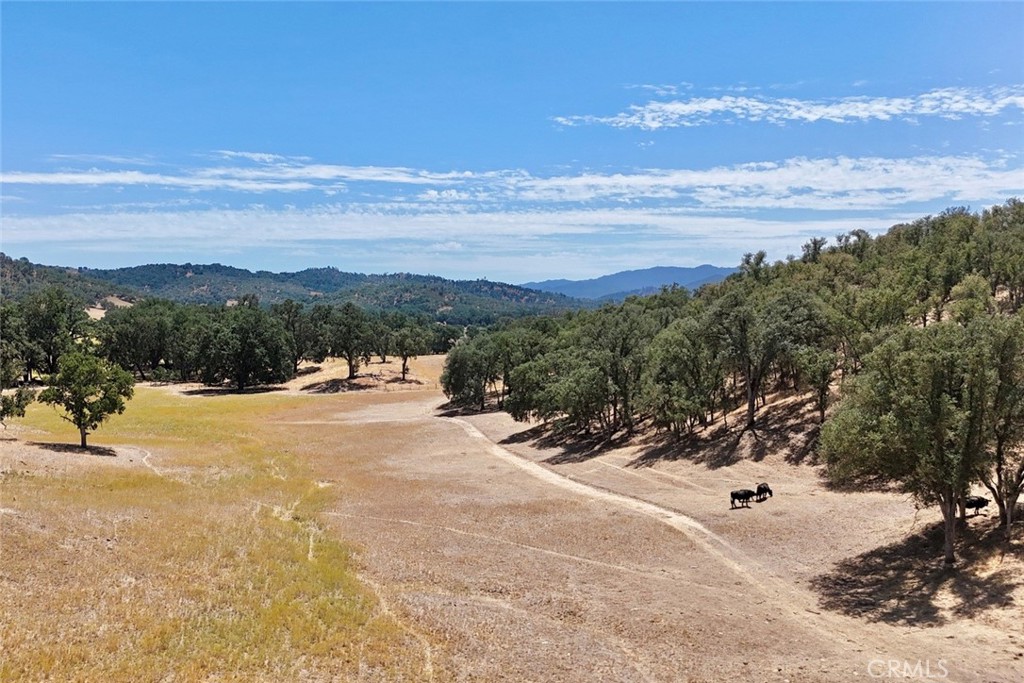 49460 Sapaque Road