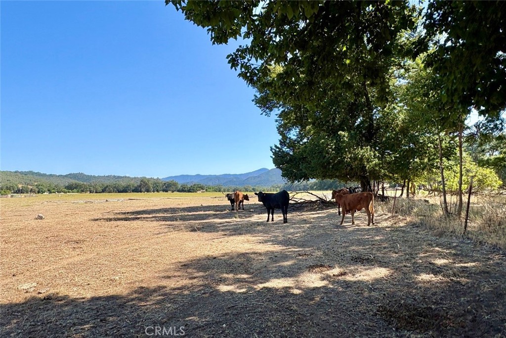 49460 Sapaque Road