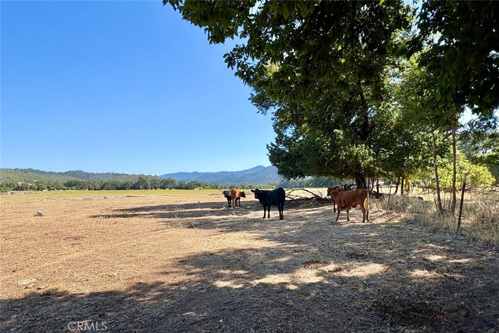 49460 Sapaque Road
